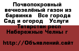Почвопокровный, вечнозелёный газон из барвинка - Все города Сад и огород » Услуги   . Татарстан респ.,Набережные Челны г.